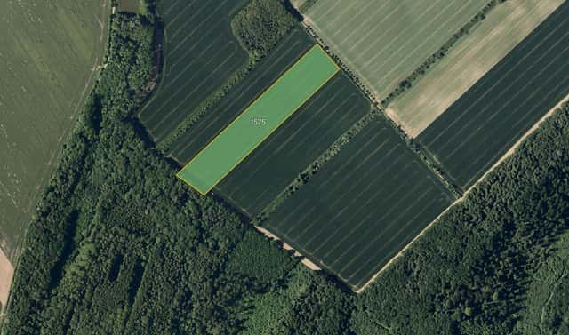 Prodej pole 29 548 m², Věžky, okres Kroměříž