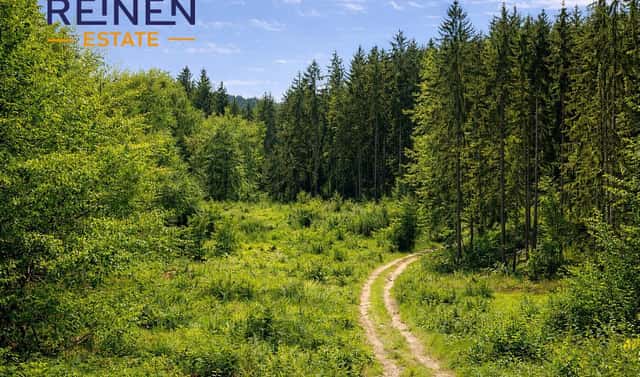 Prodej lesa 3 412 m², Mladoňovice, okres Třebíč