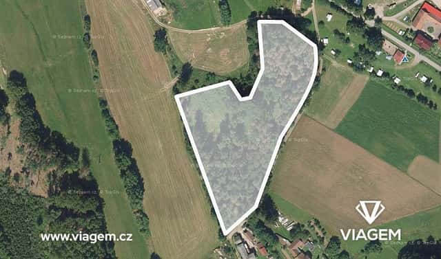 Prodej lesa 5 589 m², Světlá nad Sázavou, okres Havlíčkův Brod