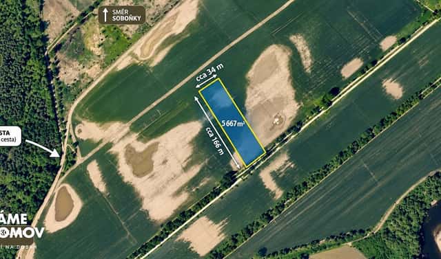 Prodej pole 5 667 m², Rohatec, okres Hodonín
