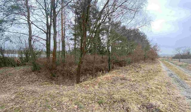 Prodej pozemku 2 121 m², Drahonice – Albrechtice, okres Strakonice