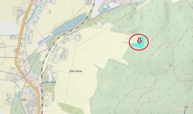 Prodej lesa 5 759 m², Červená Voda, okres Ústí nad Orlicí