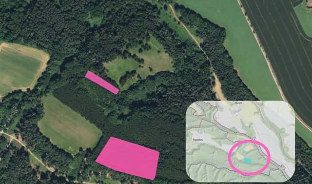 Prodej louky 17 835 m², Doksy – Vojetín, okres Česká Lípa