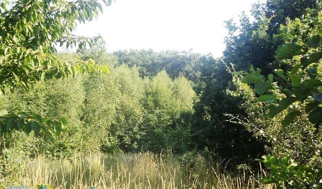 Prodej pozemku 2 629 m², Dětmarovice, okres Karviná