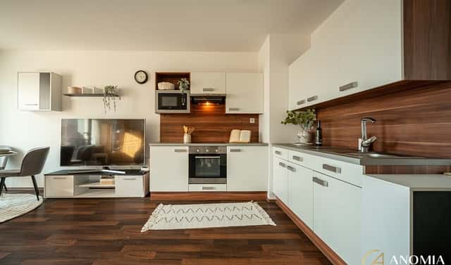 Prodej bytu 2+kk 52 m², Řípská, Brno – Slatina, okres Brno-město