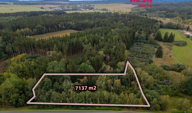 Prodej louky 7 137 m², Toužim, okres Karlovy Vary