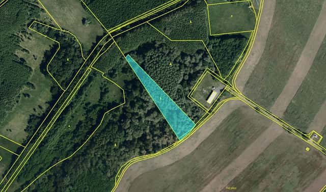 Prodej pozemku 5 068 m², Brod nad Dyjí, okres Břeclav