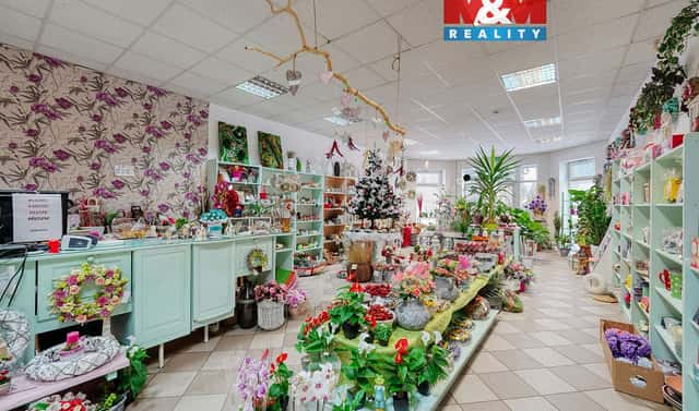 Pronájem obchodních prostor 133 m², Plzeňská, Třemošná, okres Plzeň-sever