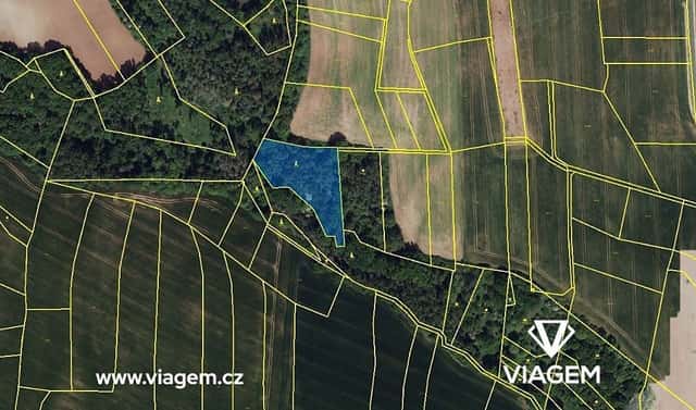 Prodej lesa 2 404 m², Pozdeň, okres Kladno