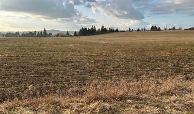 Prodej stavebního pozemku 10 000 m², Tachov
