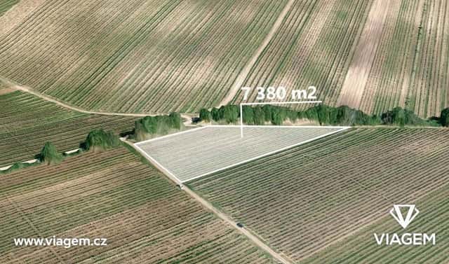 Prodej pole 922 m², Velké Bílovice, okres Břeclav