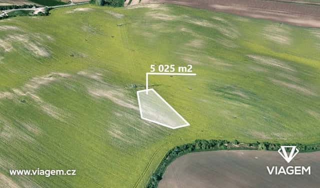 Prodej pole 1 675 m², Čejkovice, okres Hodonín