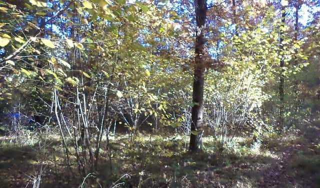 Prodej pozemku 2 102 m², Římov – Dolní Stropnice, okres České Budějovice