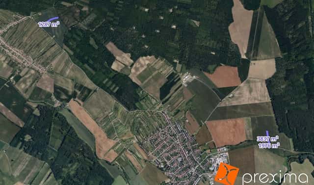 Prodej pole 1 290 m², Dolní Bojanovice, okres Hodonín