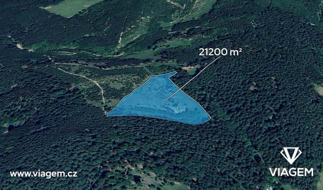Prodej lesa 21 200 m², Všemina, okres Zlín