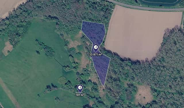 Prodej lesa 7 026 m², Kravaře, okres Opava