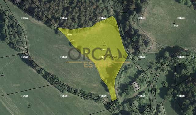 Prodej louky 3 133 m², Malé Svatoňovice, okres Trutnov