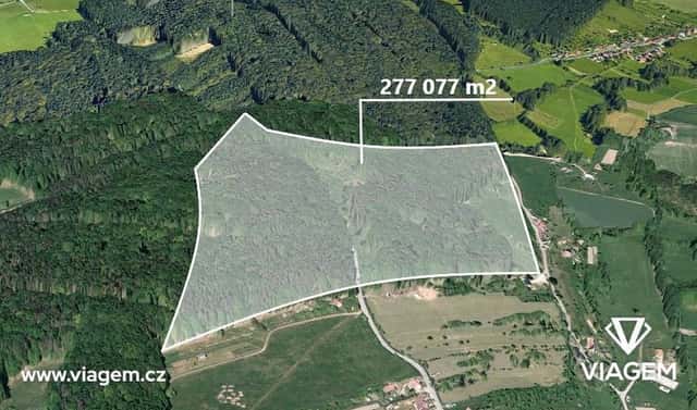 Prodej lesa 2 432 m², Šanov, okres Zlín