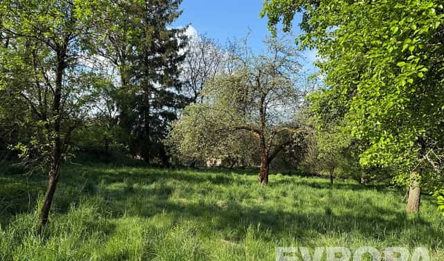 Pronájem zahrady 3 333 m², Kelč, okres Vsetín