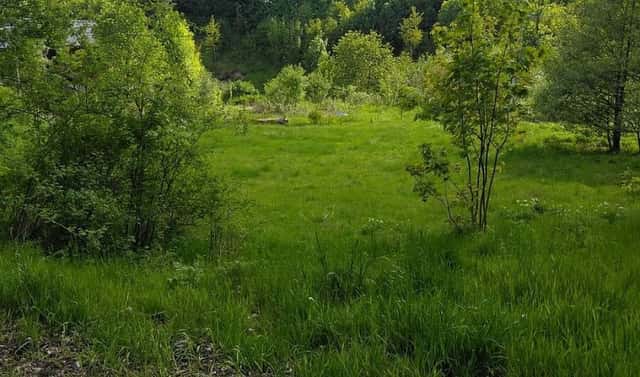 Prodej stavebního pozemku 1 000 m², Merklín, okres Karlovy Vary
