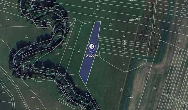 Prodej louky 2 322 m², Borovy, okres Plzeň-jih