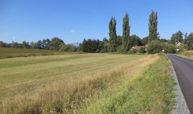 Prodej pole 2 383 m², Srby, okres Domažlice