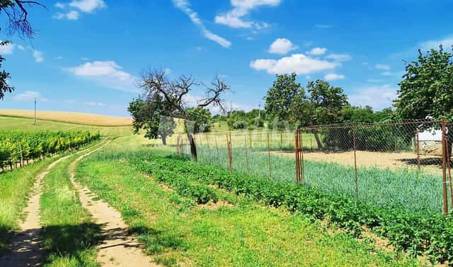 Prodej stavebního pozemku 934 m², Miroslav, okres Znojmo
