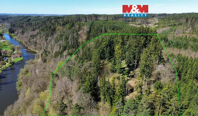 Prodej lesa 39 640 m², Řepeč, okres Tábor