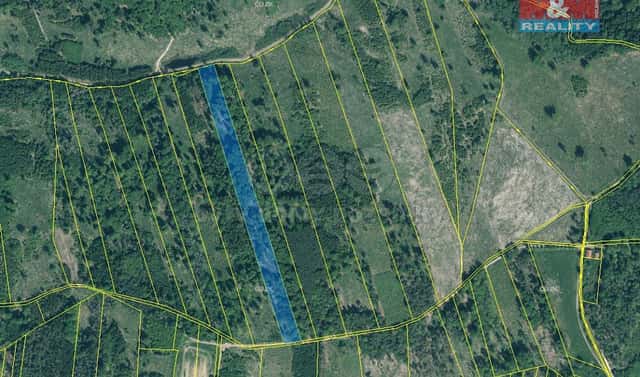 Prodej lesa 15 662 m², Jetětice, okres Písek