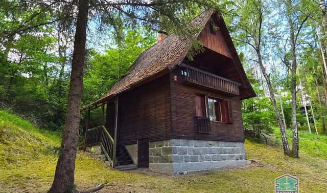 Prodej chaty/chalupy 59 m² s pozemkem 45 m², Svojšín, okres Tachov