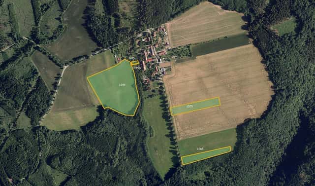 Prodej louky 10 721 m², Vavřinec – Suchdol, okres Blansko