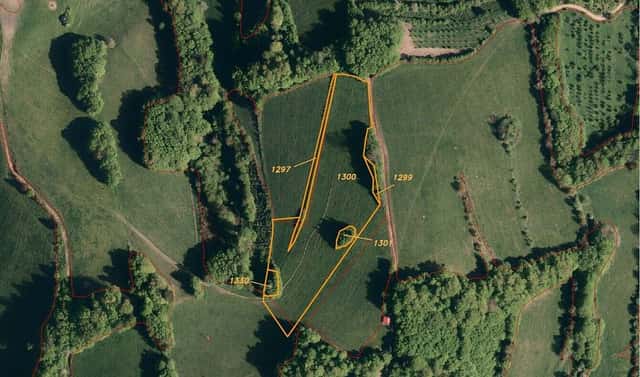 Prodej pole 13 881 m², Seninka, okres Vsetín