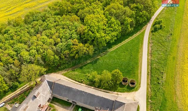 Prodej louky 2 451 m², Javorník – Bílý Potok, okres Jeseník