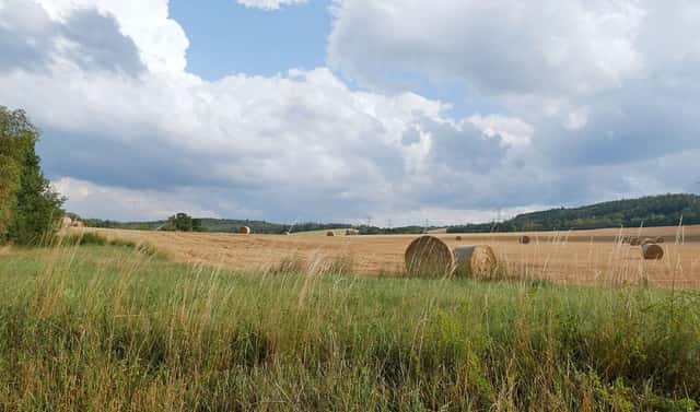 Prodej pozemku 19 928 m², Nový Knín, okres Příbram