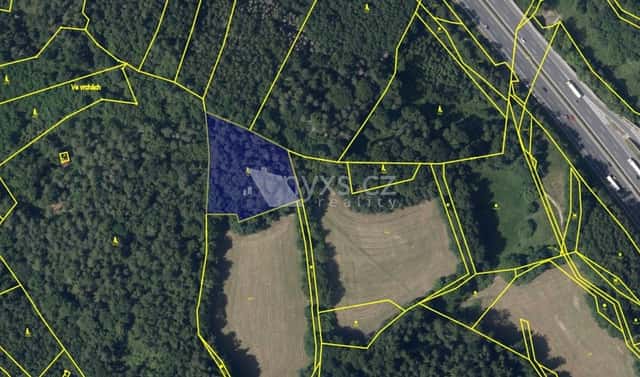Prodej lesa 4 613 m², Kunice – Všešímy, okres Praha-východ