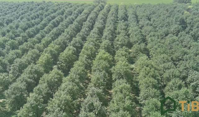 Prodej pole 5 319 m², Vanovice, okres Blansko