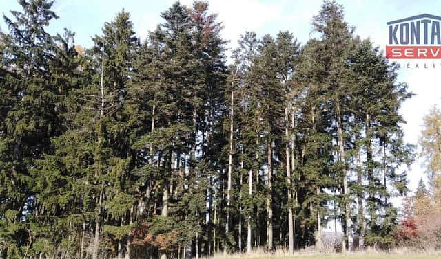 Prodej lesa 10 142 m², Letiny – Svárkov, okres Plzeň-jih