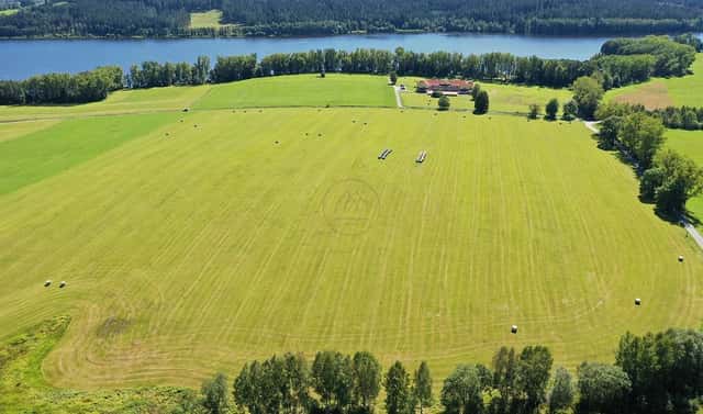 Prodej pole 92 549 m², Horní Planá, okres Český Krumlov