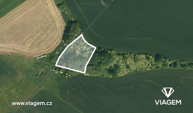 Prodej pole 602 m², Veliká Ves, okres Praha-východ