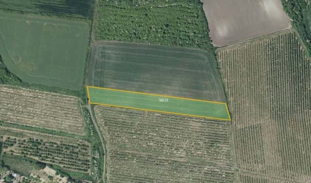 Prodej pole 7 043 m², Želkovice, okres Louny