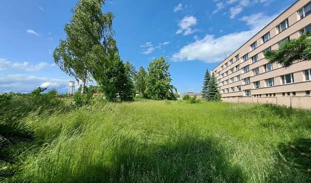 Prodej komerčního pozemku 2 803 m², Veselí nad Lužnicí, okres Tábor