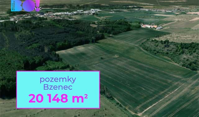 Prodej pole 20 148 m², Bzenec, okres Hodonín
