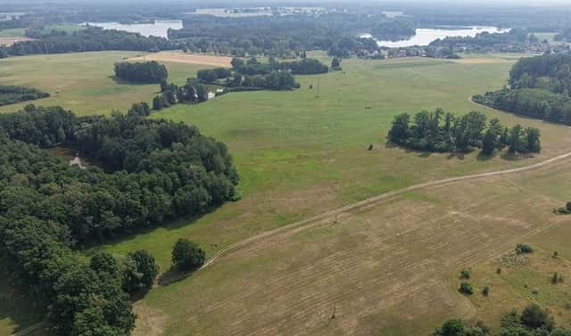 Prodej lesa 360 000 m², Chlum u Třeboně – Žíteč, okres Jindřichův Hradec