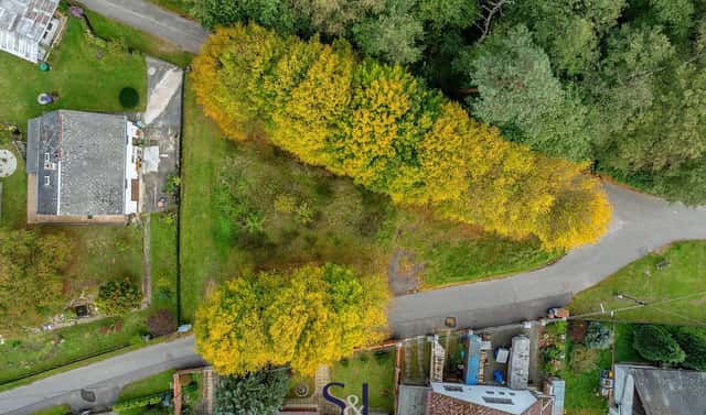 Prodej stavebního pozemku 860 m², Sosnová, okres Česká Lípa