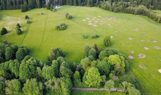 Prodej stavebního pozemku 2 281 m², Lesná, okres Tachov