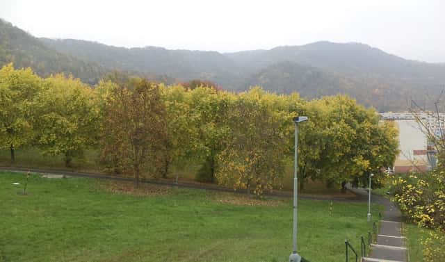 Prodej pozemku 450 m², Ústí nad Labem – Mojžíř