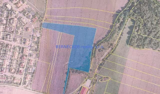 Prodej pole 19 127 m², Bašť, okres Praha-východ