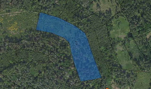 Prodej lesa 1 483 m², Neveklov, okres Benešov