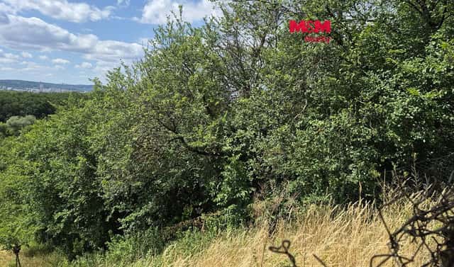 Prodej zahrady 1 358 m², Brno – Brněnské Ivanovice, okres Brno-město
