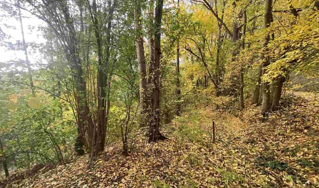 Prodej pozemku 2 639 m², Svijany, okres Liberec